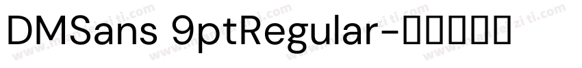 DMSans 9ptRegular字体转换